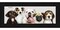 Panoramic Flat Black Picture Frame - UV Acrylic, Foam Board Backing, Hanging Hardware